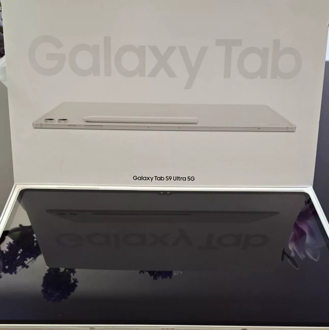 Samsung Galaxy Tab S9 Ultra 5G - 265GB Beig - Garantie